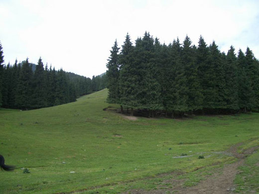 نانسان بايياڭگۋ