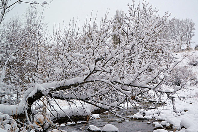 11月8日，新疆伊犁哈萨克自治州尼勒克县迎来了今年入秋首场降雪8-قاراشادا شينجياڭ ىلە قازاق اۆتونوميالى وبلىسىنىڭ نىلقى اۋدانىندا 30 سانتيمەترلىك قالىڭ قار ءتۇستى