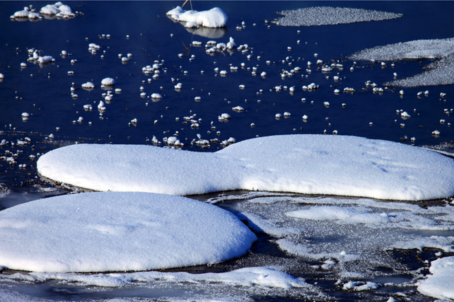 湿地的雪更为极致精美，鹅毛般的雪花，从彤云密布的天空中飘落下来，地上一会儿就白了。 巴合提别克•居马德力 摄影并文