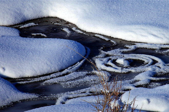 那一片成簇团的雪是很难引起人注意的，但这湿地里的完美小景，何尝不是一种独特的美。 巴合提别克•居马德力 摄影并文